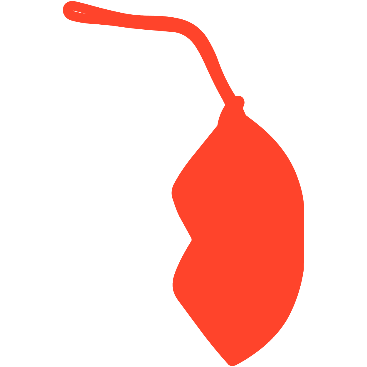 Custom Lips Tags