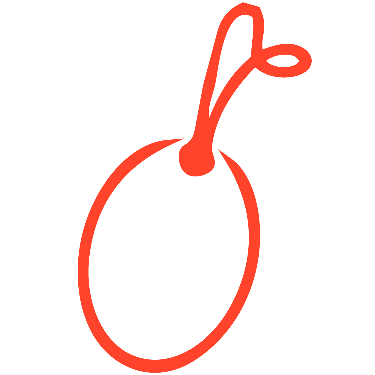 Custom Oval Tags
